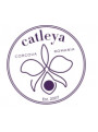 Catleya Freamat Alb 2023 | Domeniul Catleya | Severin Corcova